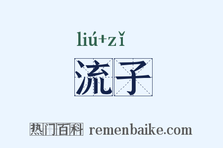 流子是什么意思的图片